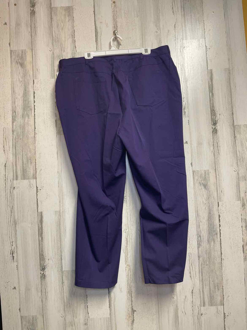 Size 24 Boutique Pants