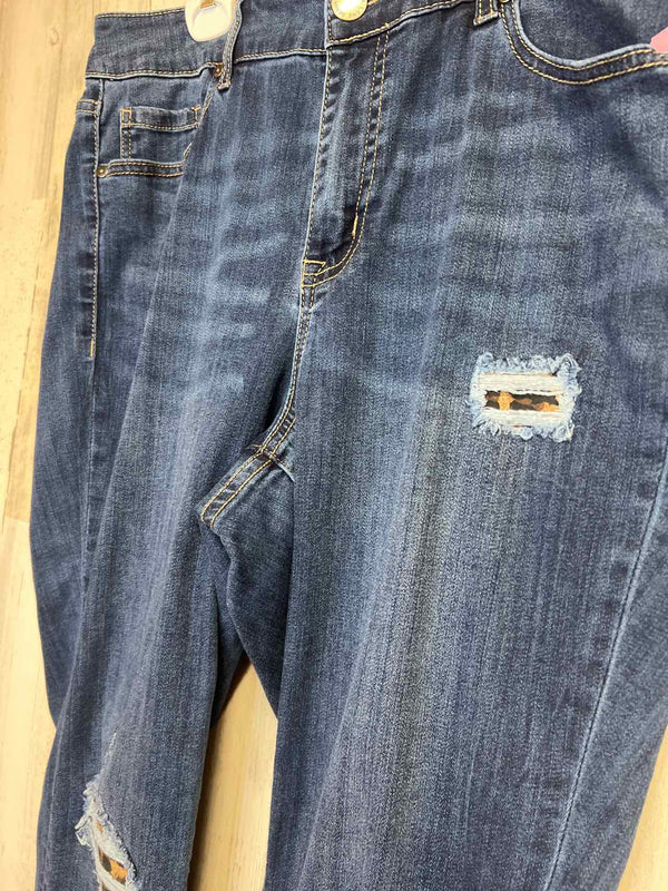 Size 16 Lane BRYANT Pants