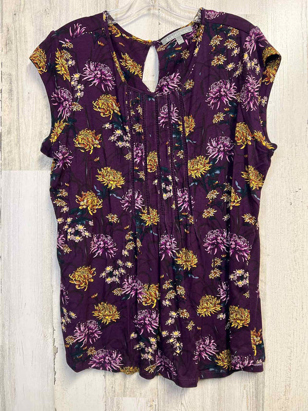Daniel Rainn Size L Shirt