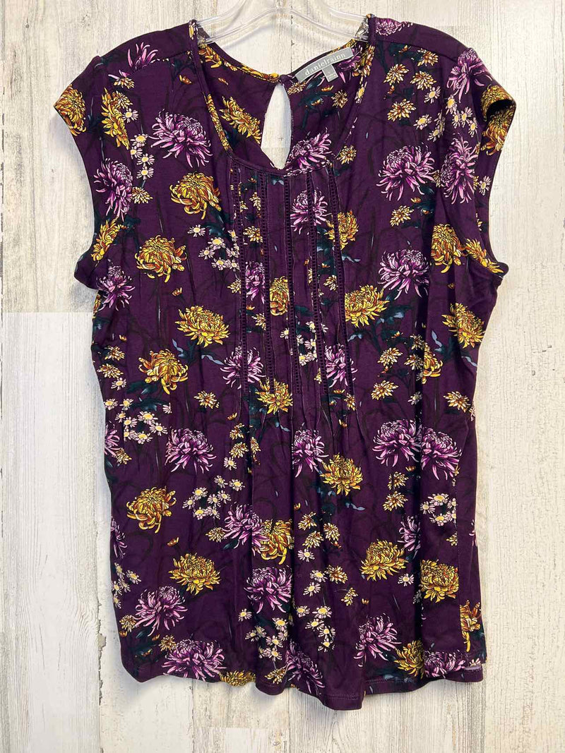 Daniel Rainn Size L Shirt