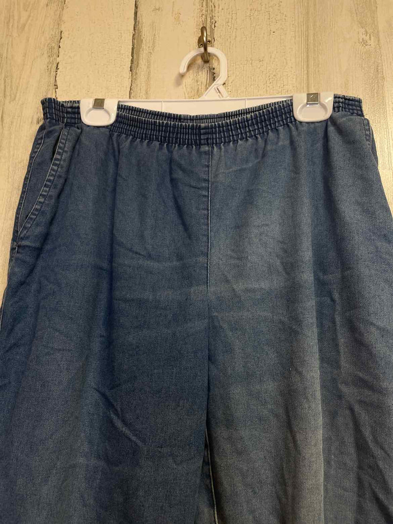 Size 10 Alfred Dunner Pants