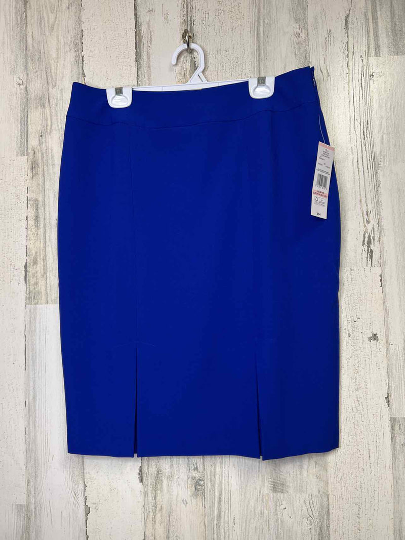 Size 10 Evan-Picone Skirt