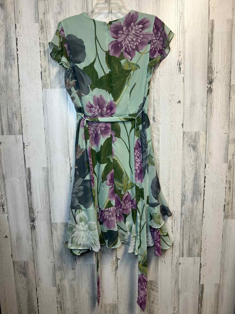 Size 12 Danny and Nicole Dress