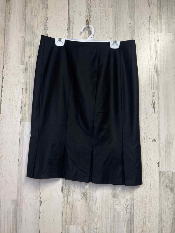 Size 12 Boutique Skirt
