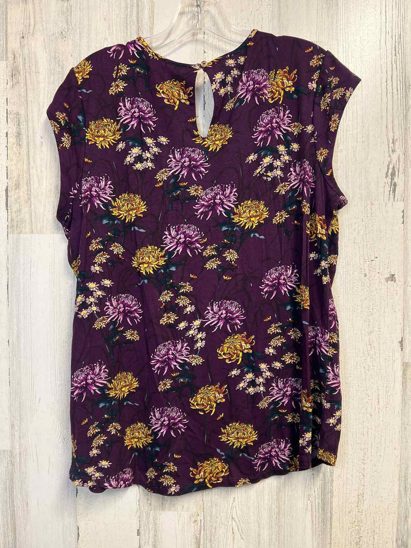 Daniel Rainn Size L Shirt