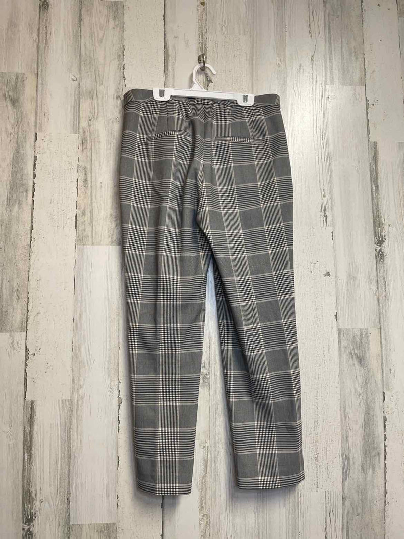 Size 8 H&M Pants