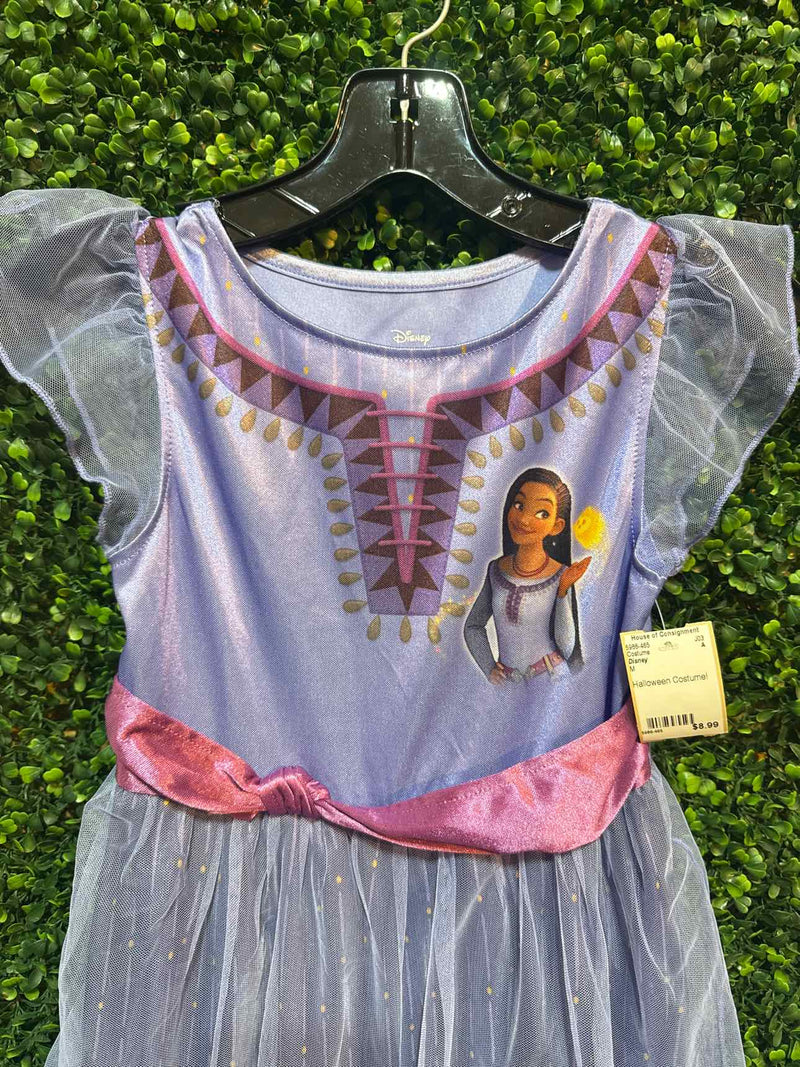 Disney M Costume