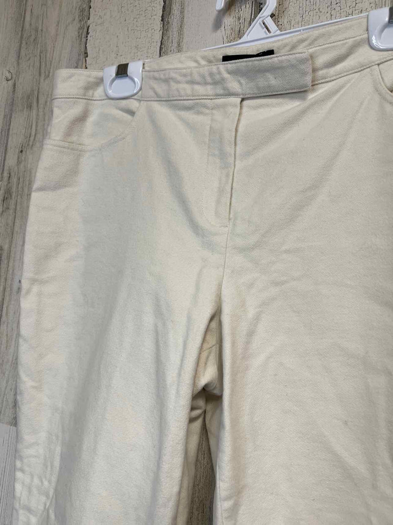 Size 10 Theory Pants