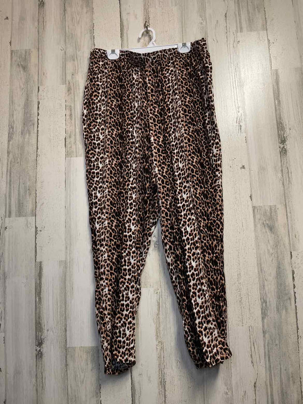 Size 22/24 Ellos Pants