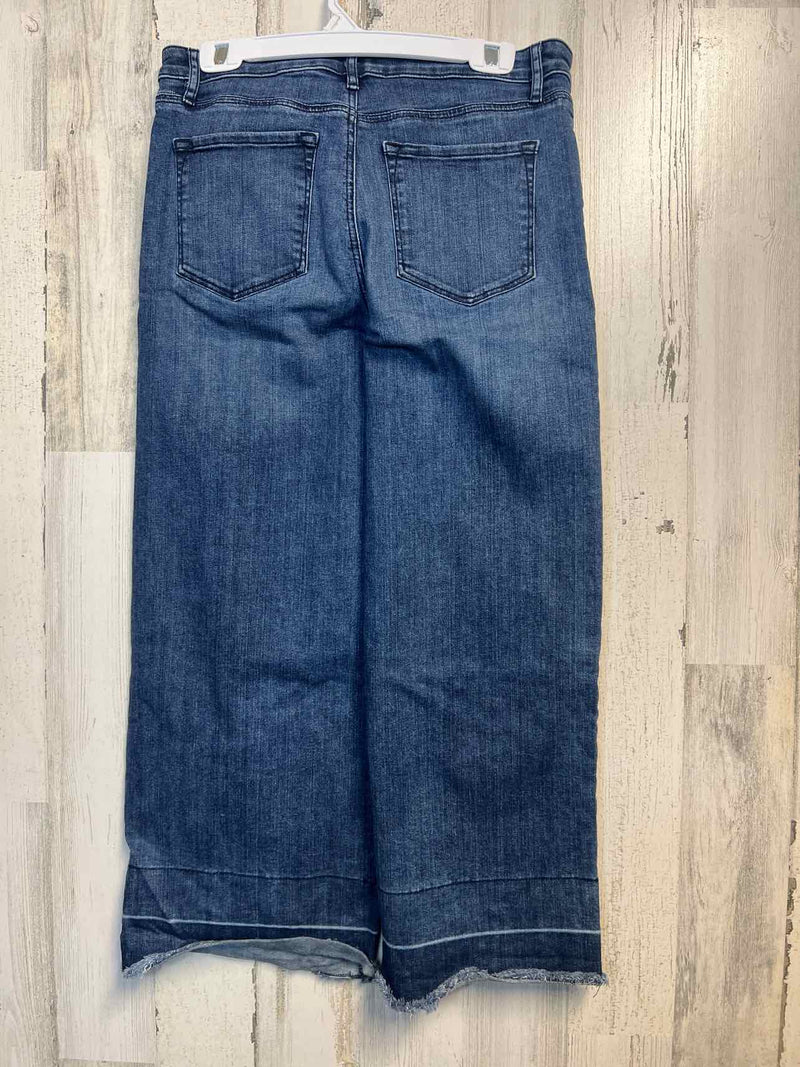 Size 6 Loft Jeans