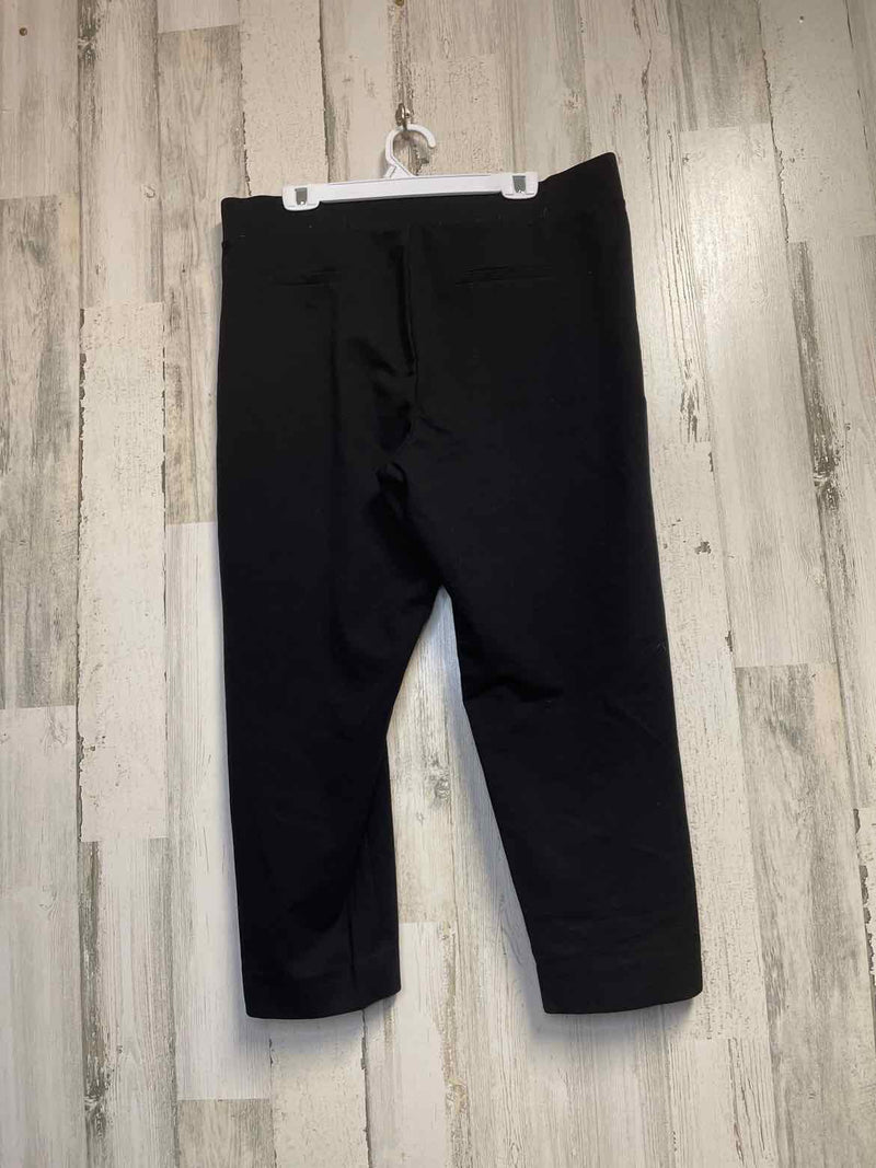 Size 2 Torrid Pants