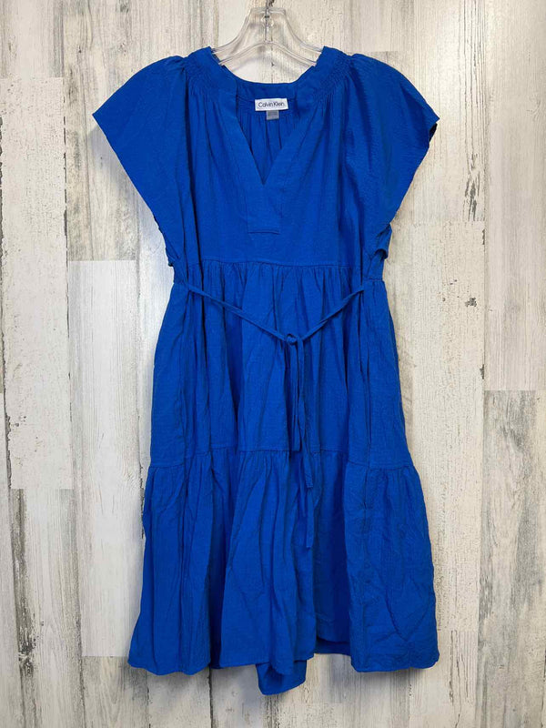 Size 2 Calvin Klein Dress