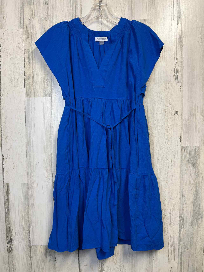 Size 2 Calvin Klein Dress