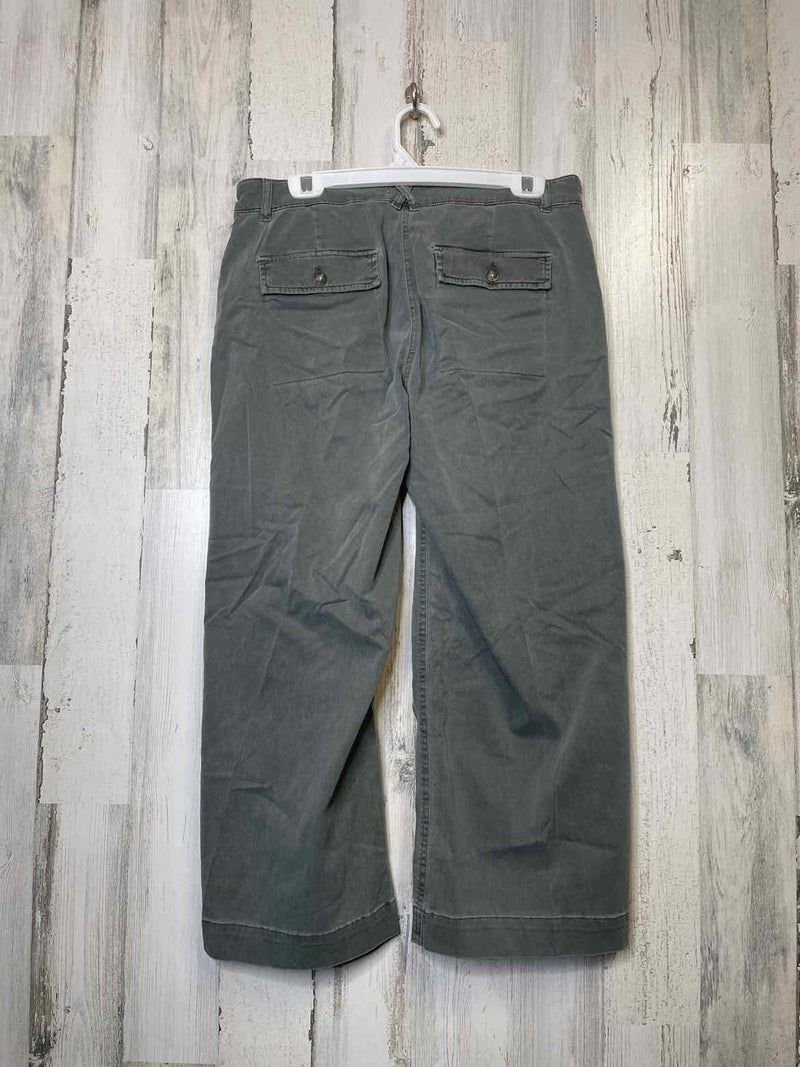 Size 10 J.Jill Pants