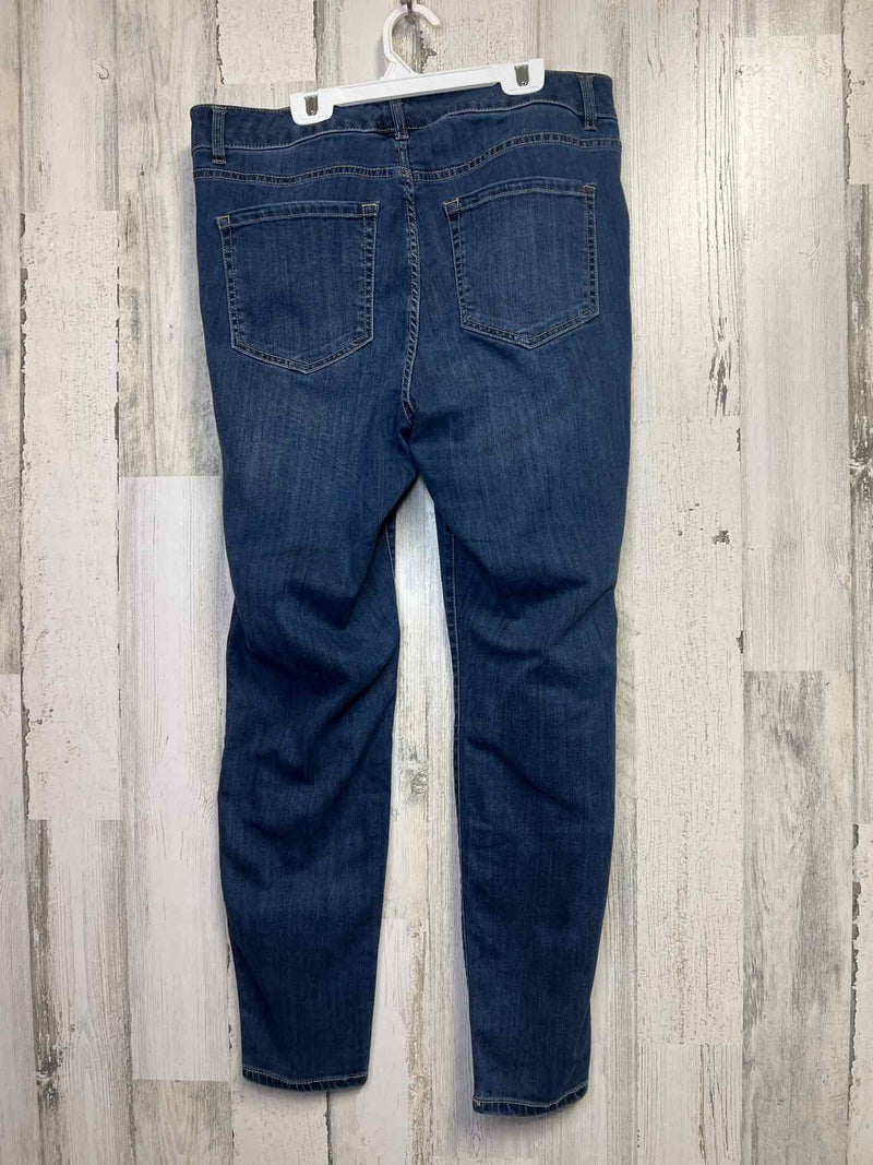 Size 16 Lane BRYANT Pants