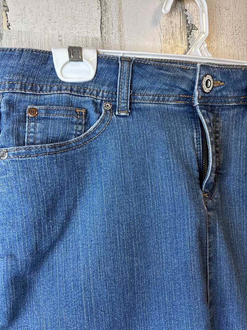 Size 10 Wrangler Skirt