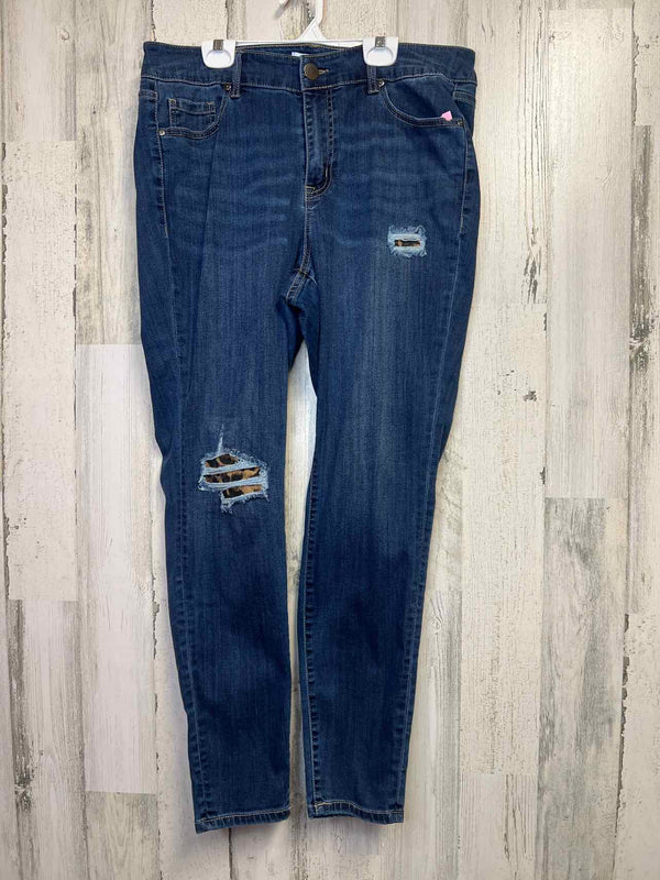 Size 16 Lane BRYANT Pants