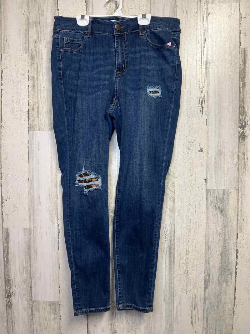 Size 16 Lane BRYANT Pants