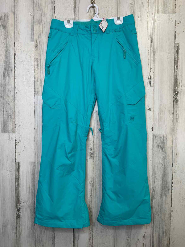 Size M DC Snowpants