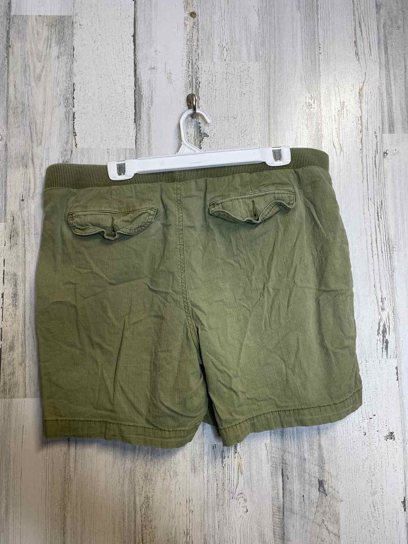 Size L Sonoma Shorts