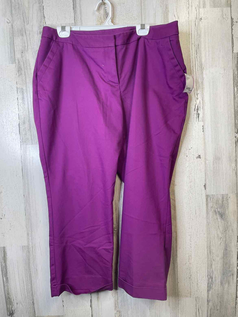 Size 18 Lane BRYANT Pants