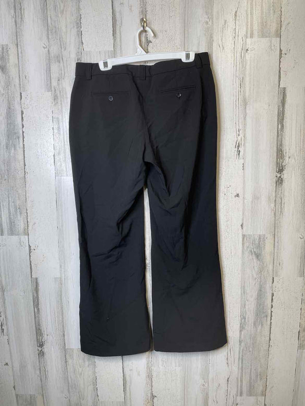 Size 10 Express Pants