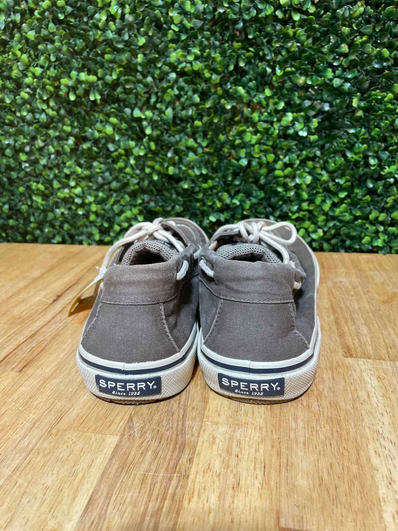 10.5 Sperry Shoes
