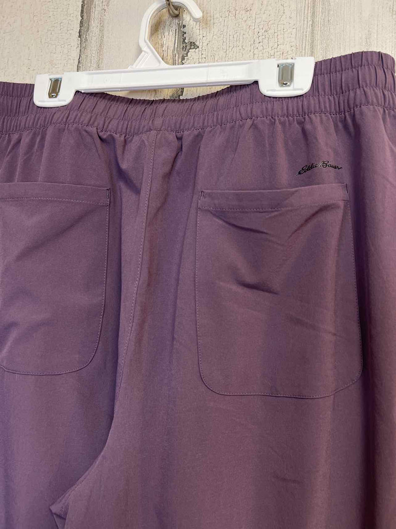 Size M Eddie Bauer Pants