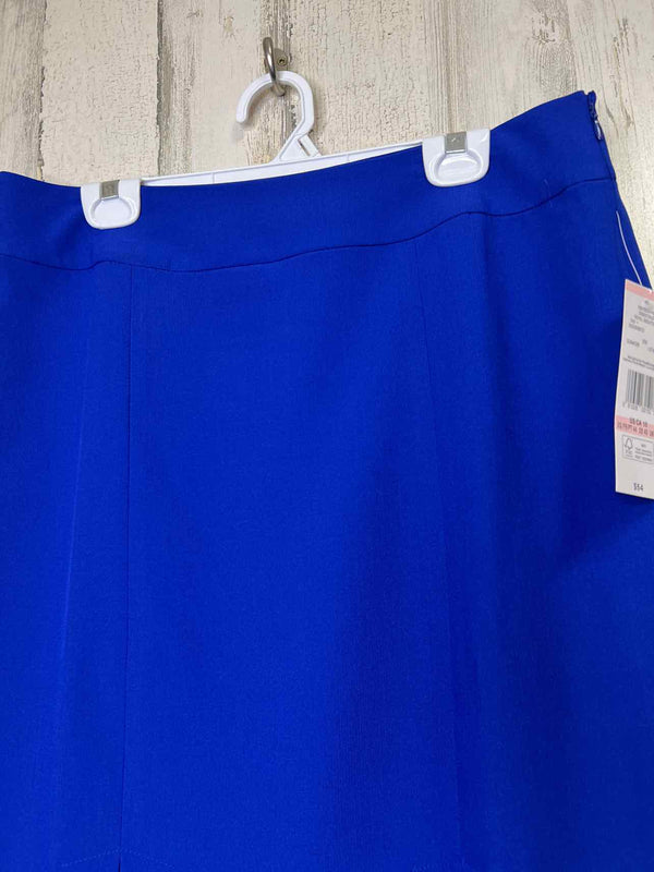 Size 10 Evan-Picone Skirt