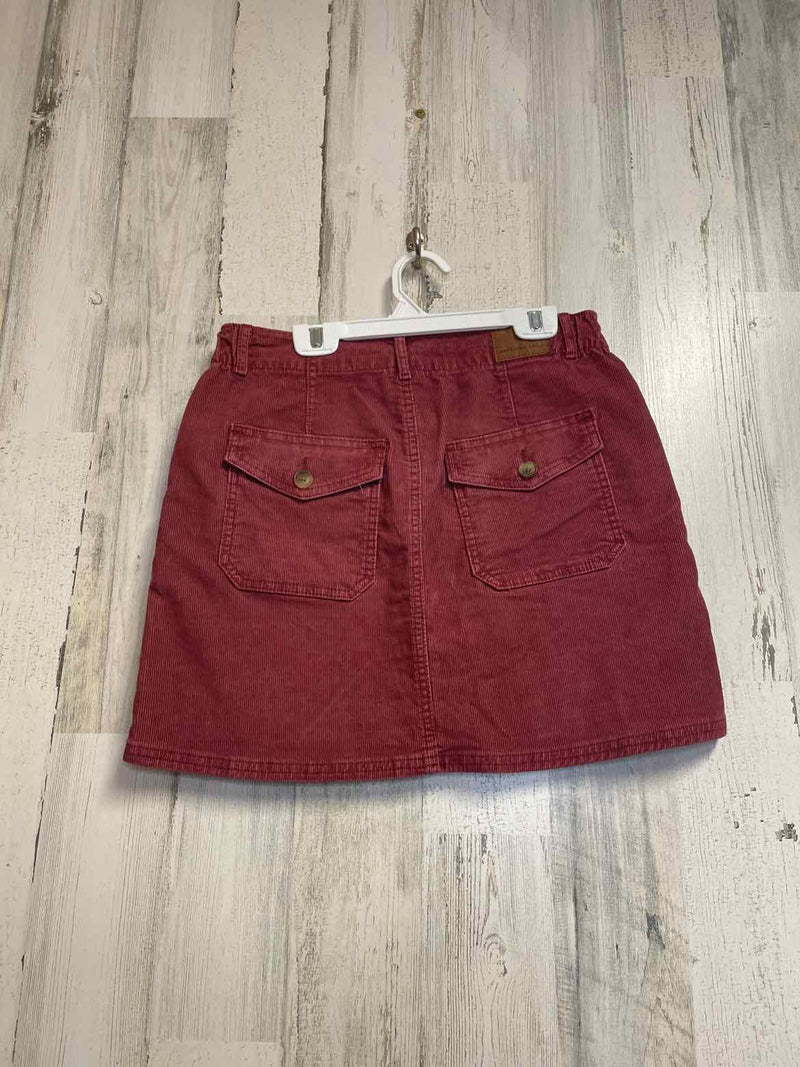 Size 2 American Eagle Skirt
