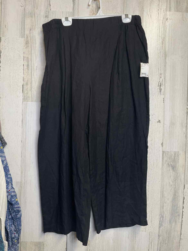 Size L Eileen Fisher Pants